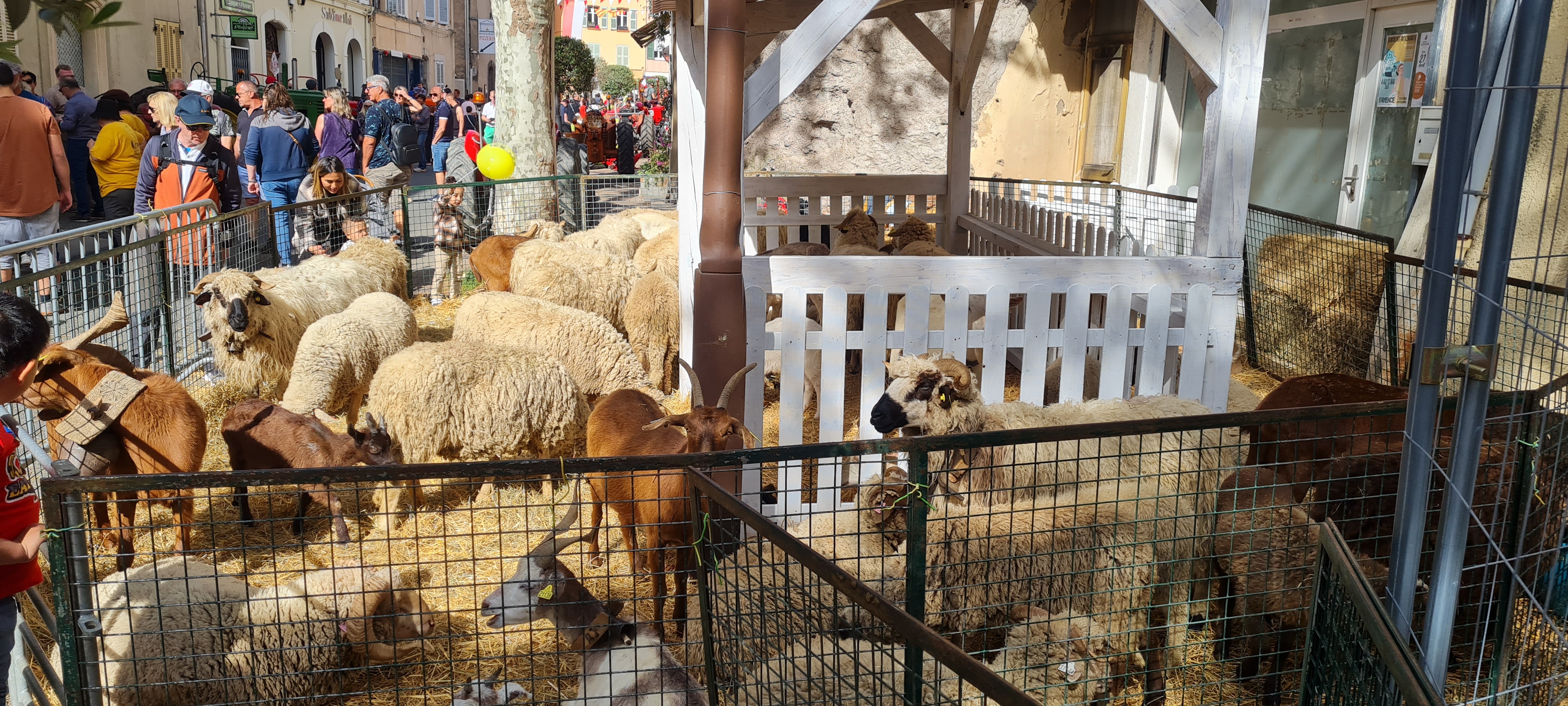 Fréjus 100 % Nature